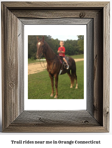 trail rides near me in Orange, Connecticut